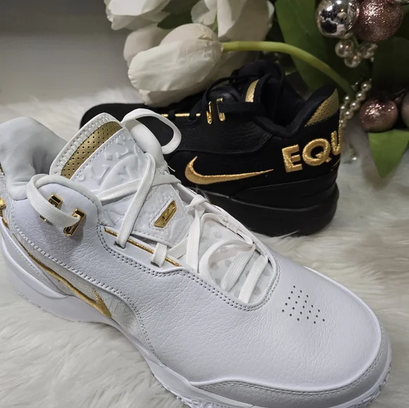 Nike Zoom LeBron NXXT Gen AMPD Equity Mens shoessize10.5 New